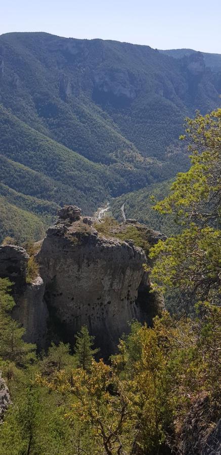 Le Mas Rolland, Piscine Chauffee & Spa - Millau - Gorges Du Tarn Compeyre Eksteriør billede
